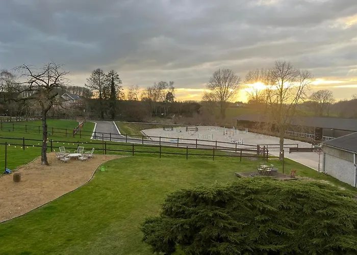 At Haras Petit-hallet *